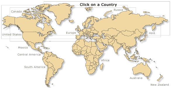 World Map