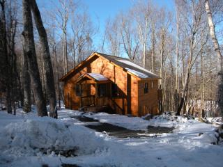 Beech Mountain Vacation Rental