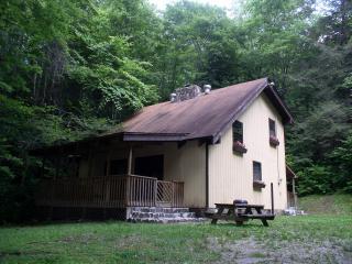 Nantahala Gorge Vacation Rental