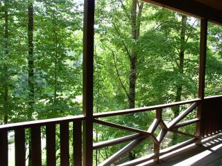 View from the Front Porch