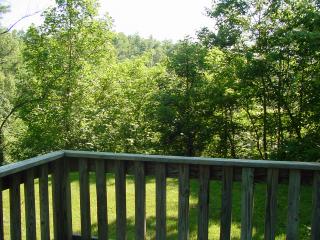 View from the Deck
