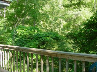Nantahala Duplex #6, View from the deck