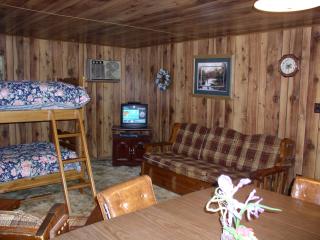 Living/Dining Area with Bunk beds