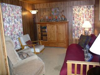 Living Area of the Country House Vacation Apartment